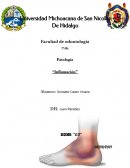 GUIA DE LECTURA CRITICA SOBRE INFLAMACION