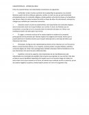 CARACTERÍSTICAS - LITERATURA INDÚ