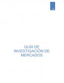 GUIA DE INVESTIGACION DE MERCADOS