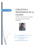 CONCEPTOS E IMPORTANCIA DE LA CALIDAD