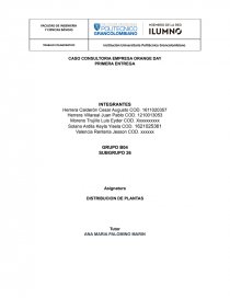 CASO CONSULTORIA EMPRESA ORANGE DAY. Página 1