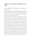 RESUMEN DE LAS DESCABELLADAS AVENTURAS DE JULITO CABELLO