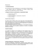 Planteamiento. Comité de Buen Gobierno