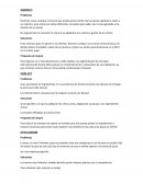 FRANQUICIA DOMINO´S