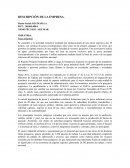 Estado de flujo de efectivo BLUMAR S.A.