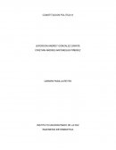 CONSTITUCION POLITICA lV