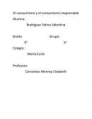 El consumismo y el consumismo responsable