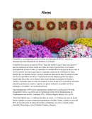 Exportacion de flores