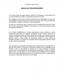 ANALISIS LECTURA EMPRESARISMO