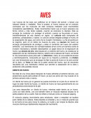 Eclosión de animales