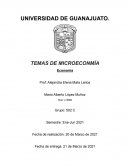 Temas de microeconomía