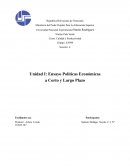 Políticas económicas a corto y mediano plazo