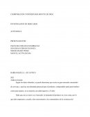 Investigacion de mercado. Mezclas de productos