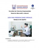 GUÍA PARA PRESENTACIONES VIRTUALES TRABAJO EN EQUIPO
