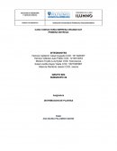 CASO CONSULTORIA EMPRESA ORANGE DAY