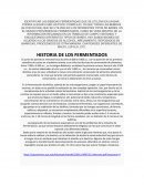 Bebidas fermentadas