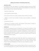 EJEMPLOS DE TECNICAS Y ESTRATEGIAS DIDACTICAS