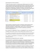 IDENTIFICACION DEL PROBLEMA DEL SECTOR VUNERABLE