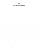 Como Funciona el Capitalismo