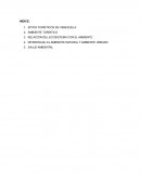 Ambiente y salud ambiental