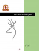 Laboratorio Metalúrgico (flotación)