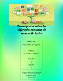 Definición y ejemplos de los diferentes recursos de renovación léxica