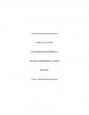 Principios de Fayol identificados