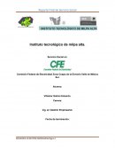 Reporte Final de Servicio Social