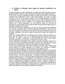 Calificación de el ambiente como objeto de derecho, justificando sus dichos. Página 1