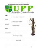 Ensayo sobre la minería en el Perú