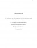 Las Organizaciones Sociales