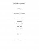 RESTAURANTE LA JUGUETERÍA