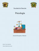 Atención Percepción y Memoria