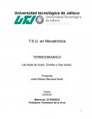 TERMODINAMICA Las leyes de boyle, Charles y Gay lussac