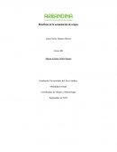 Beneficios de la acumulación de origen