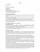 EL DESARROLLO EMBRIONARIO EN EL EMBARAZO
