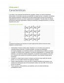 Celulas. Características estructurales