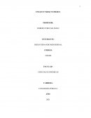 CONTADURÍA PÚBLICA