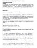 Teoria neuropsicologia