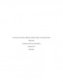Los procesos de sistemas: Hardware, Software, Redes y Telecomunicaciones