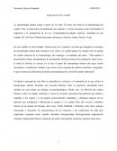 Reporte de: Exploración de la ciudad