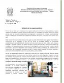 Reflexion de los espacio publicos