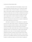 La jerarquía entre las distintas facultades sensibles