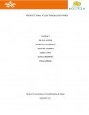 PROYECTO FINAL POLIZA TRANQUILIDAD PYMES