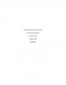 Las series de Fourier