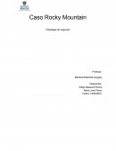 Caso Rocky Mountain Estrategia de negocios
