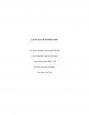 Ensayo acerca de la Bhagavad Gita