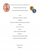 Hidrocarburos aromáticos y alifáticos