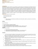 Proyecto Armamos una huerta en el Jardin