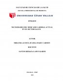 NECESIDADES DEL MERCADO LABORAL ACTUAL EN EL SECTOR SALUD